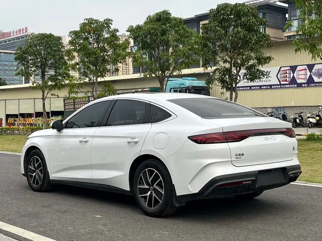Qin L DM-i 120 KM Transcend
