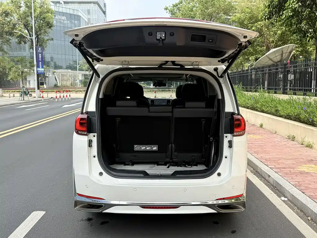 GAC Trumpchi M8 Leading Show Series 390 T Premium