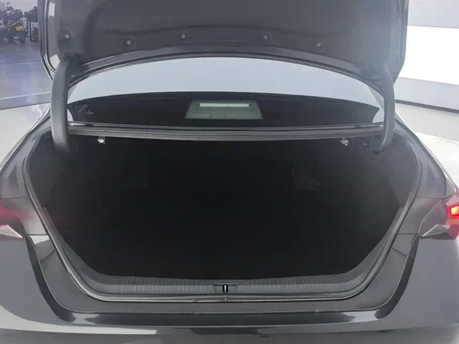 Avalon 2.0 L XLE Premium CN-VI
