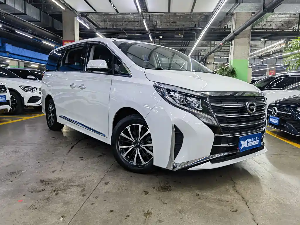 GAC Trumpchi M8 Leading Show Series 390 T Luxury