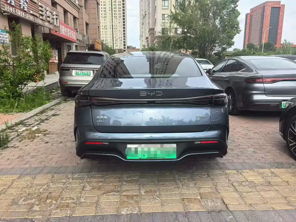 Seal 06 DM-i 120 KM Flagship