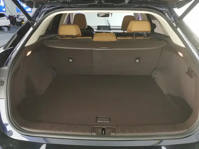 Lexus RX 300 4 WD Elegant CN-V