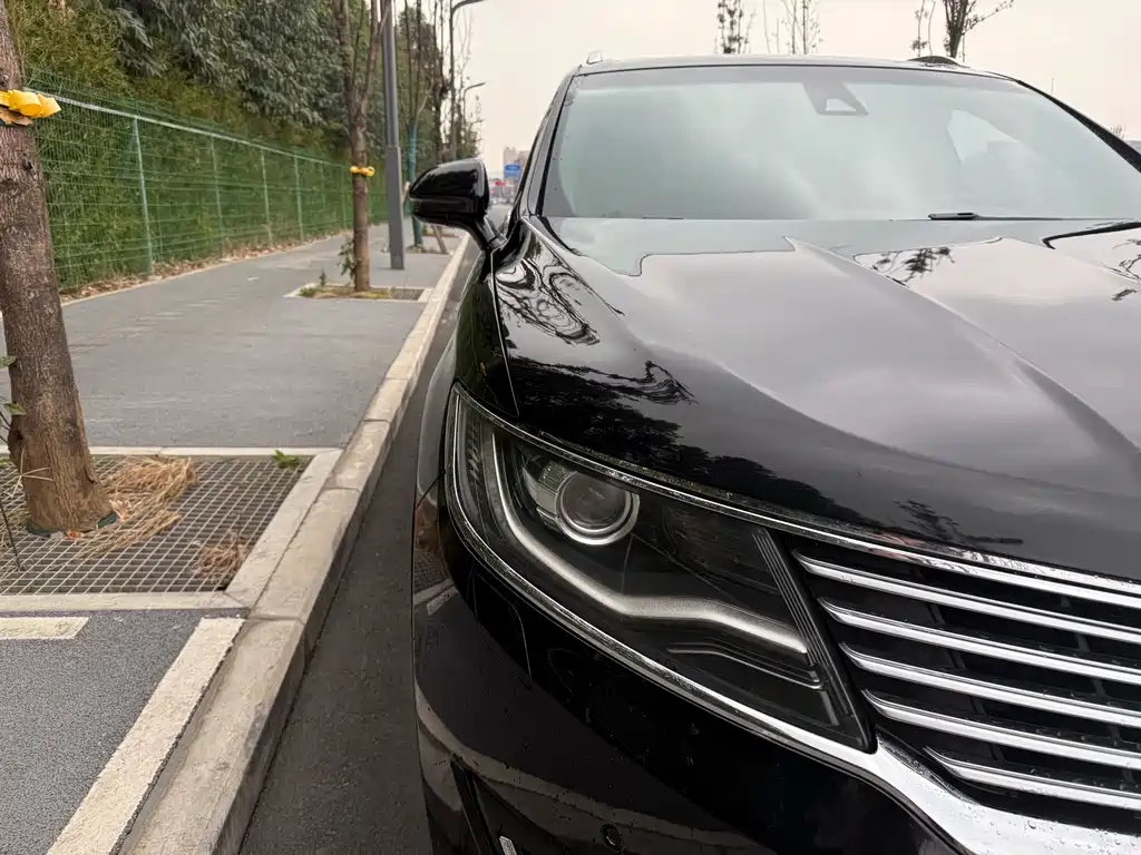 Lincoln MKX 2.0 T 4 WD Graceful