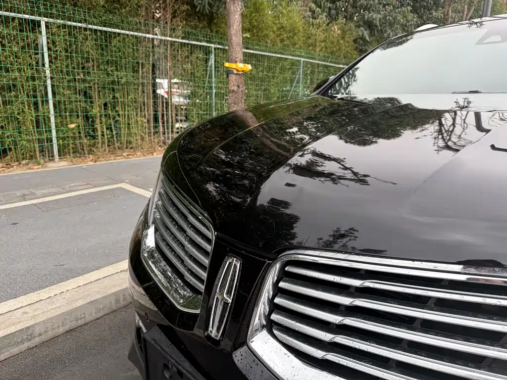 Lincoln MKX 2.0 T 4 WD Graceful