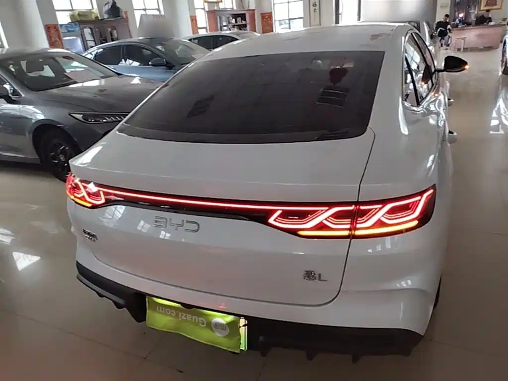 Qin L DM-i 80 KM Leading