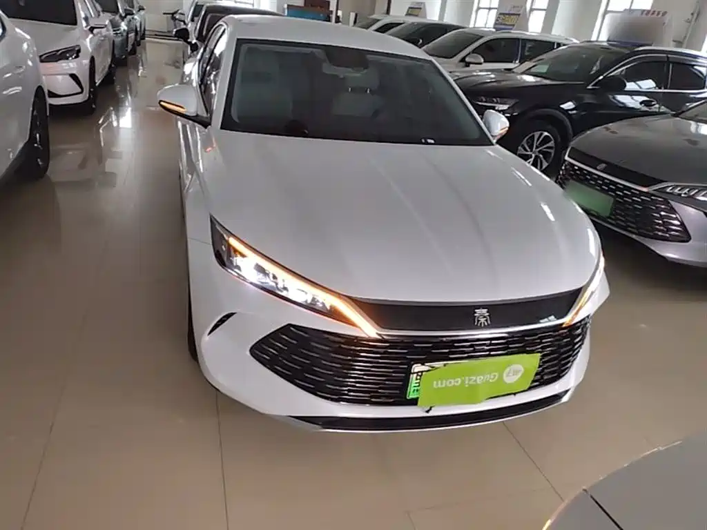 Qin L DM-i 80 KM Leading