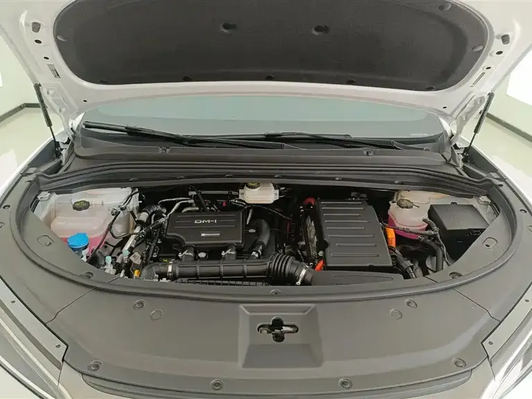 BYD Song L DM-i 112 km Transcend