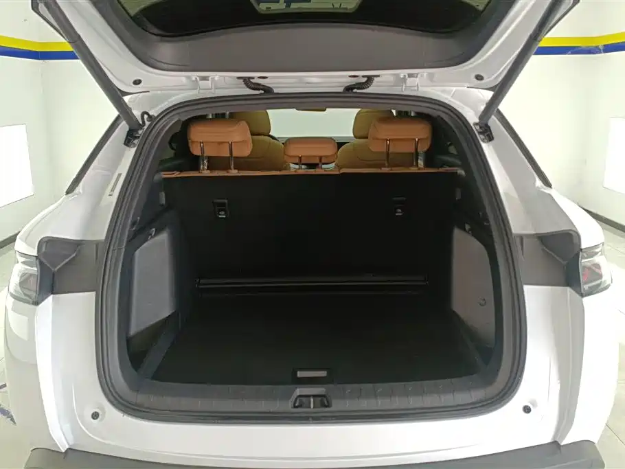 Song L DM-i 112 km Transcend