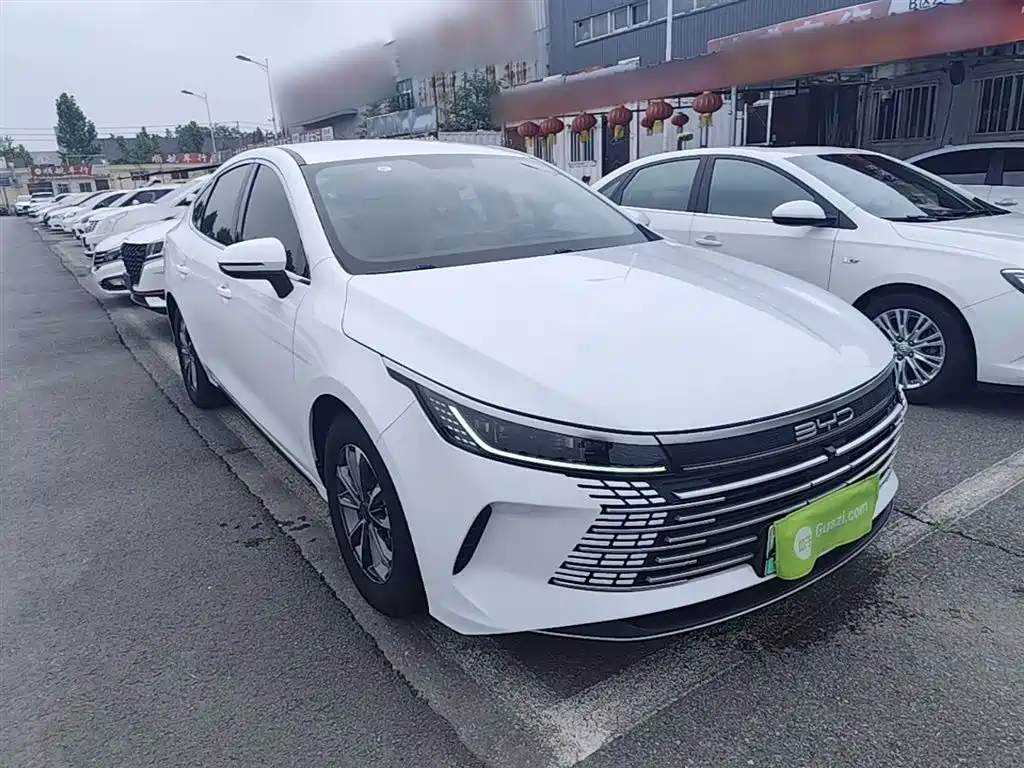 Destroyer 05 Champion DM-i 55 KM Luxury