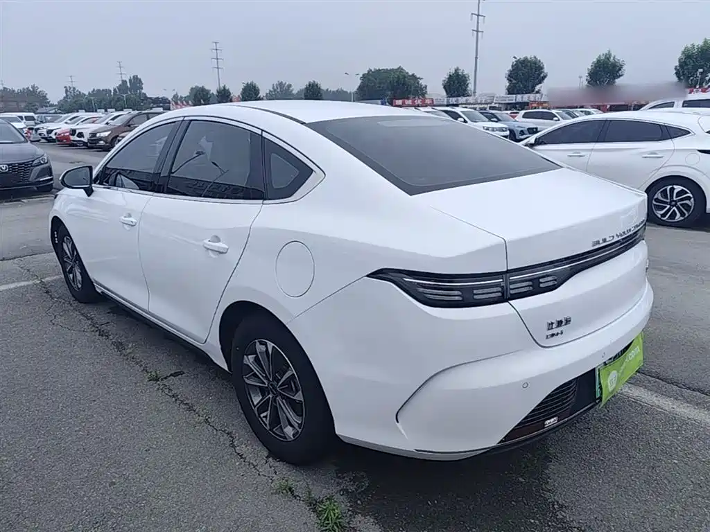 Destroyer 05 Champion DM-i 55 KM Luxury