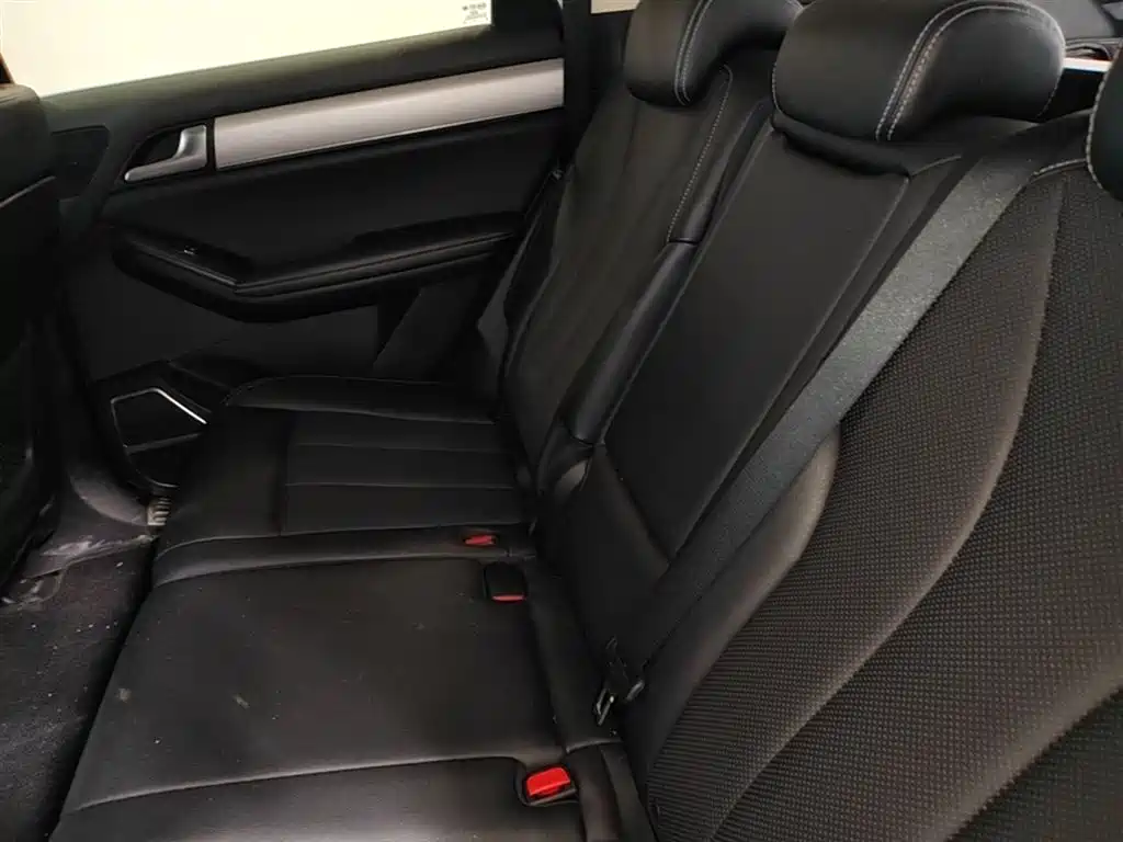 Tang 2.0 T Auto Connected Honored 7-seat CN-VI