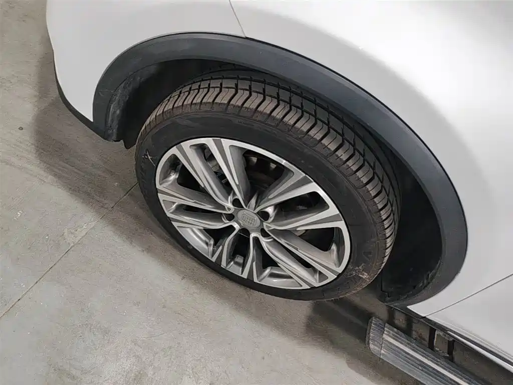 Tang 2.0 T Auto Connected Honored 7-seat CN-VI