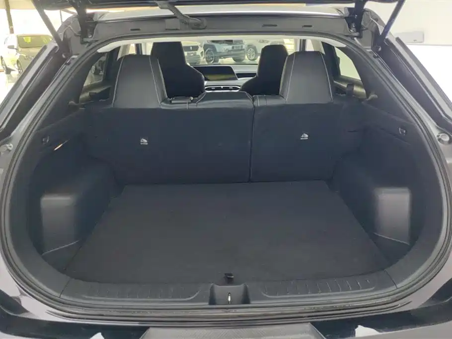 Venucia Big V 260 T Idol Pro