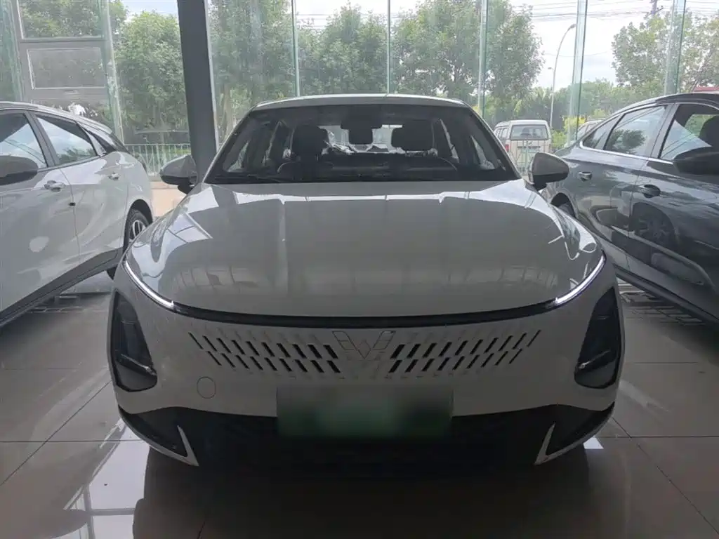 Wuling Starlight 70 km Intelligent Standard