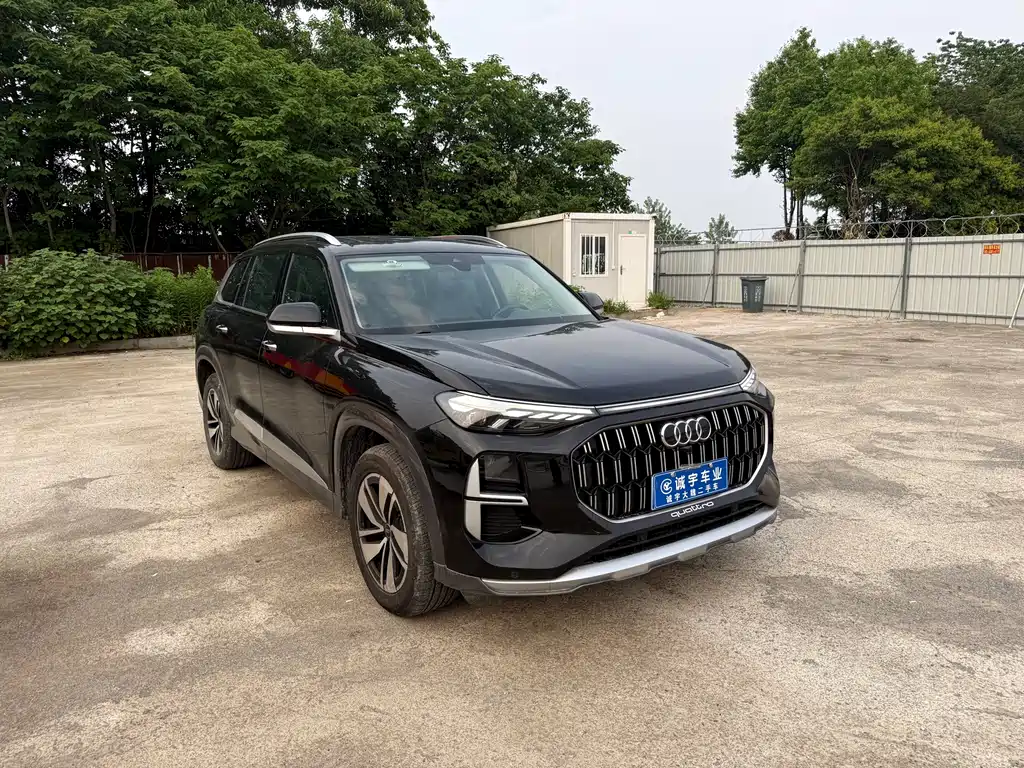 Audi Q6 奥迪Q6 2023款 40 TFSI quattro 观云型 Light 羽林套装