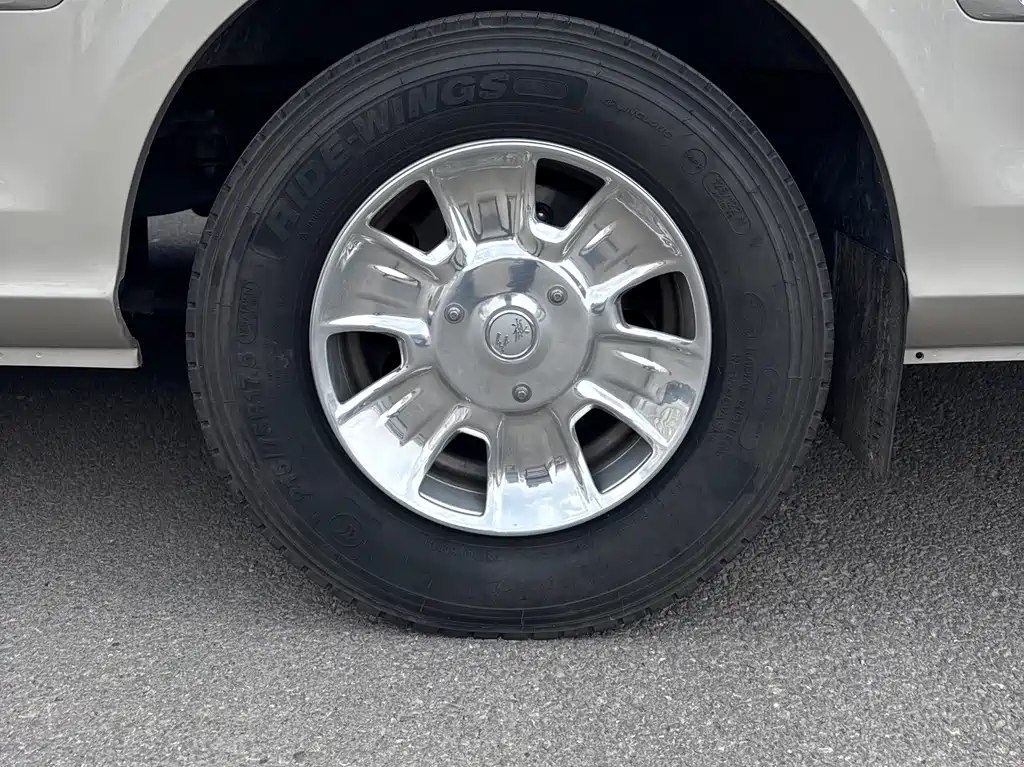 Hongqi Jinkuihua Guoyue 3.0 T Flagship 17-seat