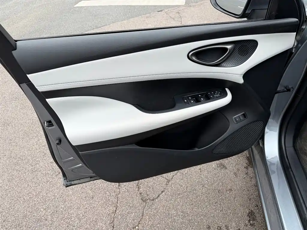 Seal 05 DM-i DM-i Smart Drive 55 KM Luxury