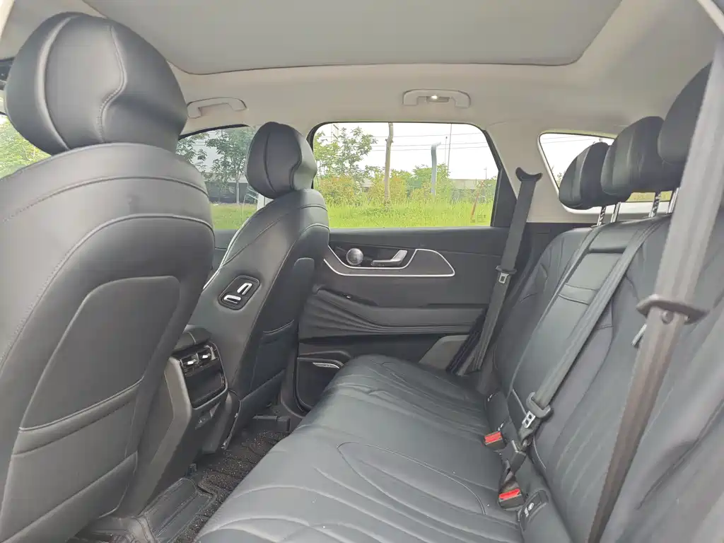 Fengyun T9 120 Long Range Comfort 5-seat Ternary Lithium
