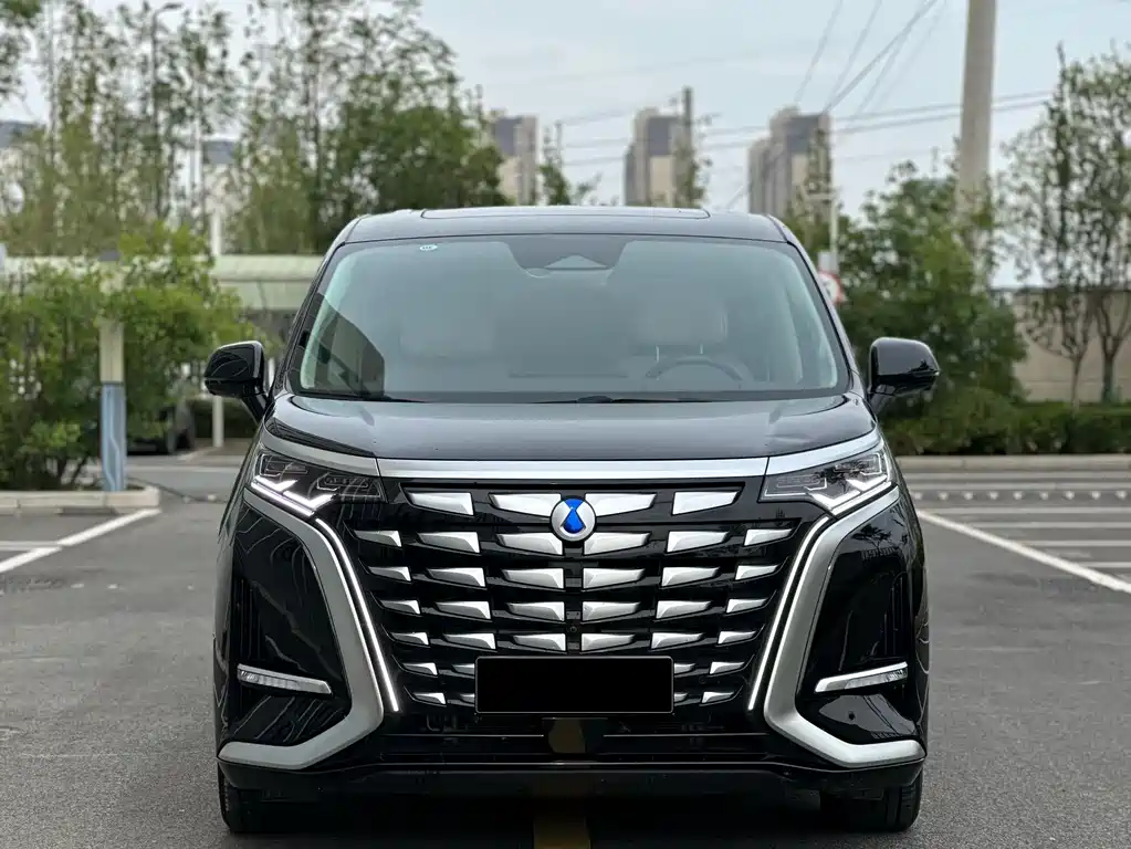 Denza D9 DM-i 1050 Premium