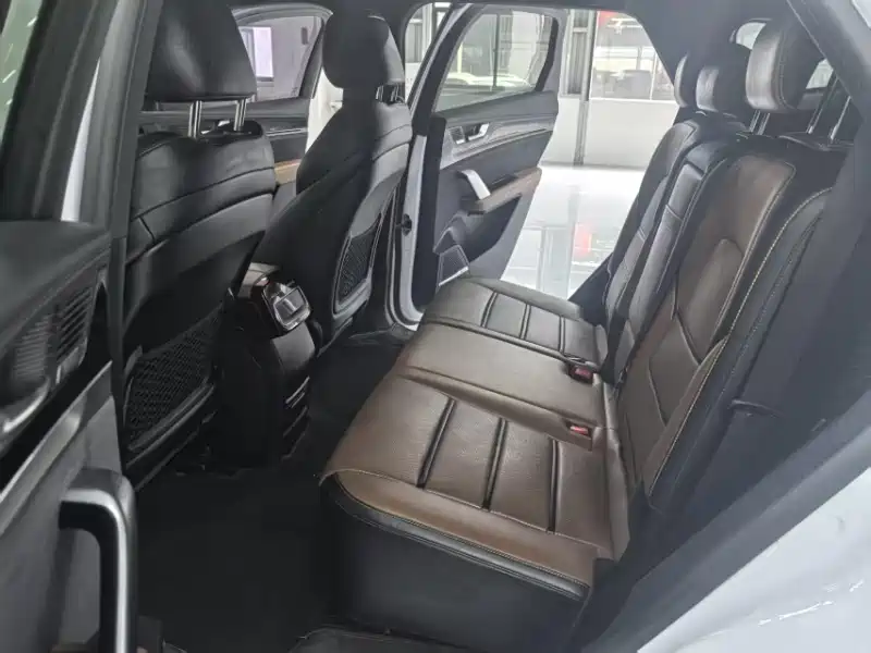 Tang NEV DM 2.0 T 4 WD High Performance Honored