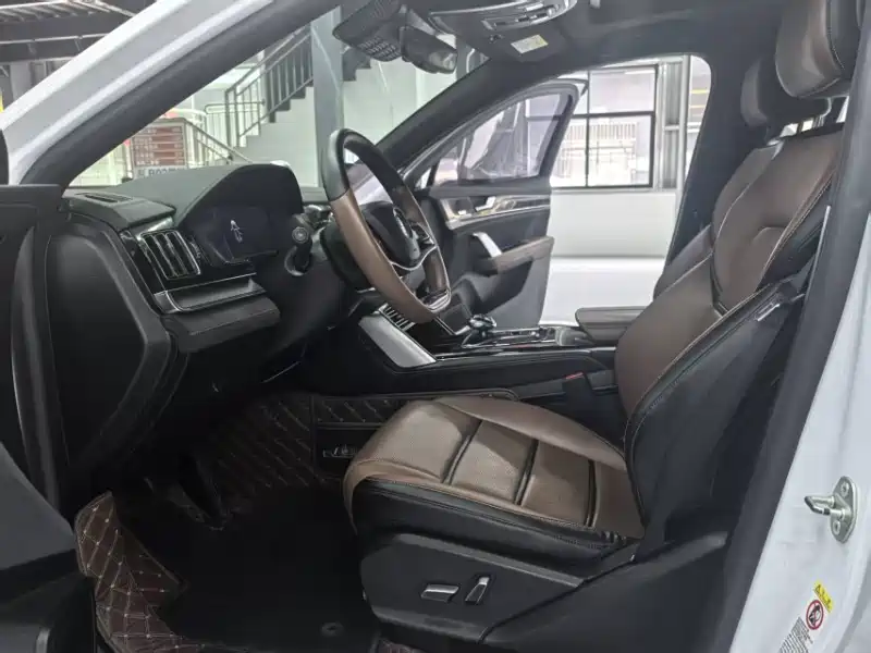 Tang NEV DM 2.0 T 4 WD High Performance Honored
