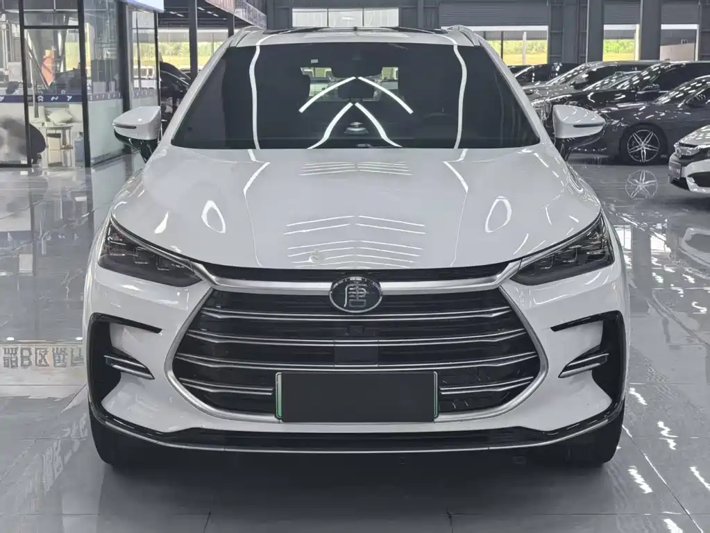 Tang NEV DM 2.0 T 4 WD High Performance Honored