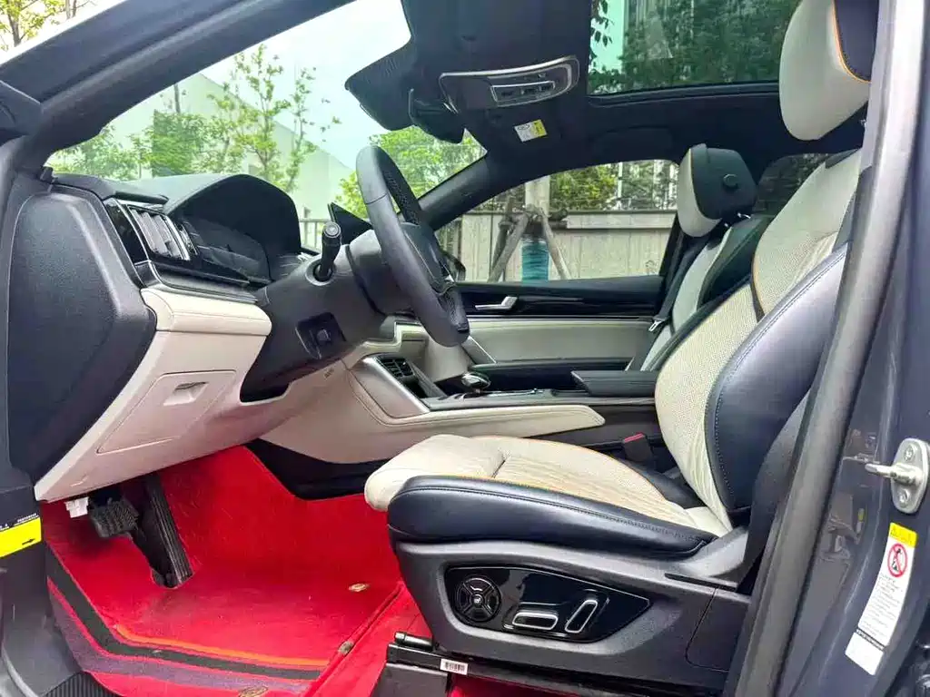 Tang NEV DM-p 215 KM 4 WD Flagship