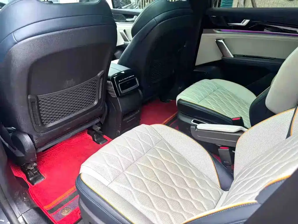 Tang NEV DM-p 215 KM 4 WD Flagship