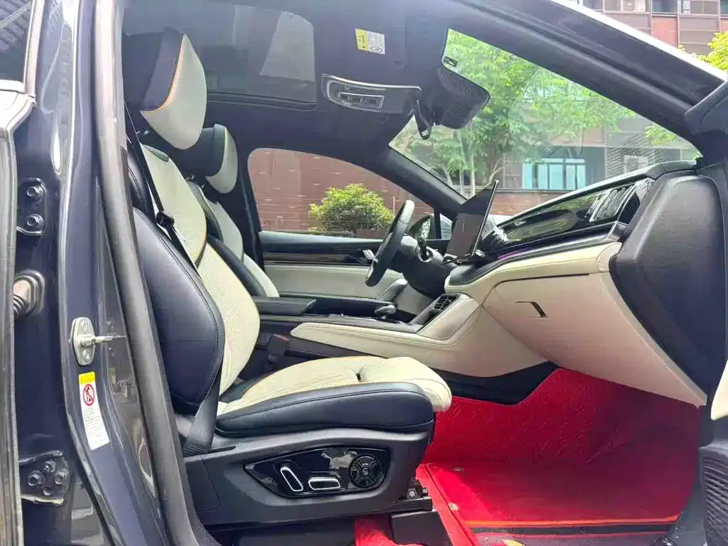 Tang NEV DM-p 215 KM 4 WD Flagship