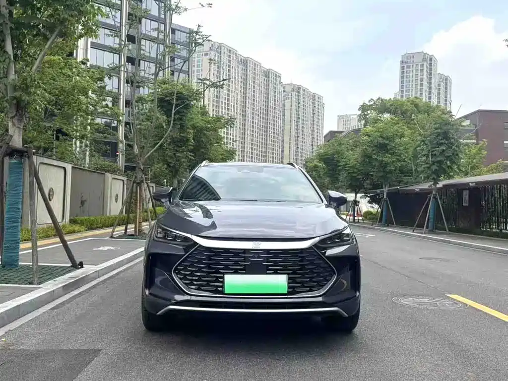 Tang NEV DM-p 215 KM 4 WD Flagship