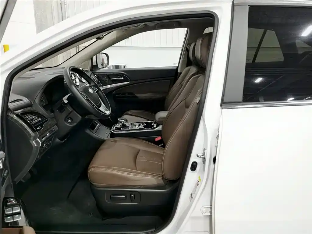Tang NEV 2.0 T 4 WD Flagship