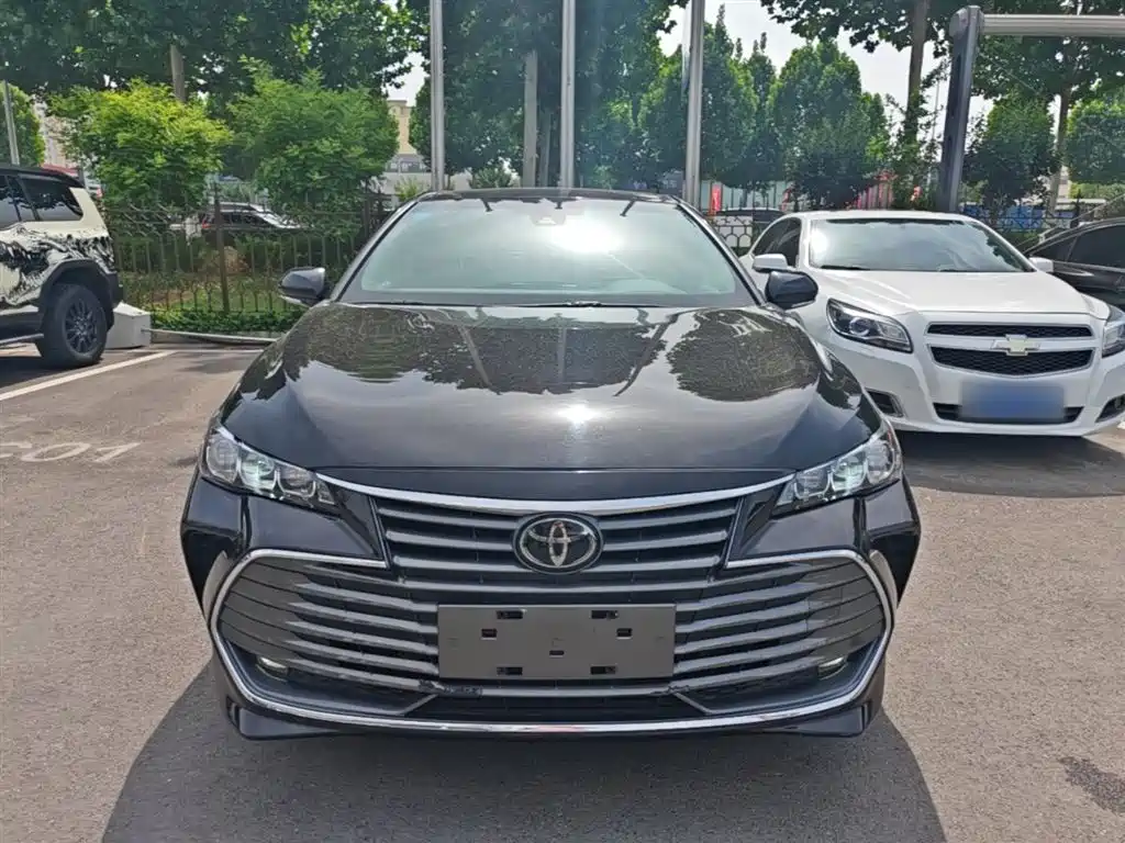 Avalon 2.0 L Progressive CN-VI