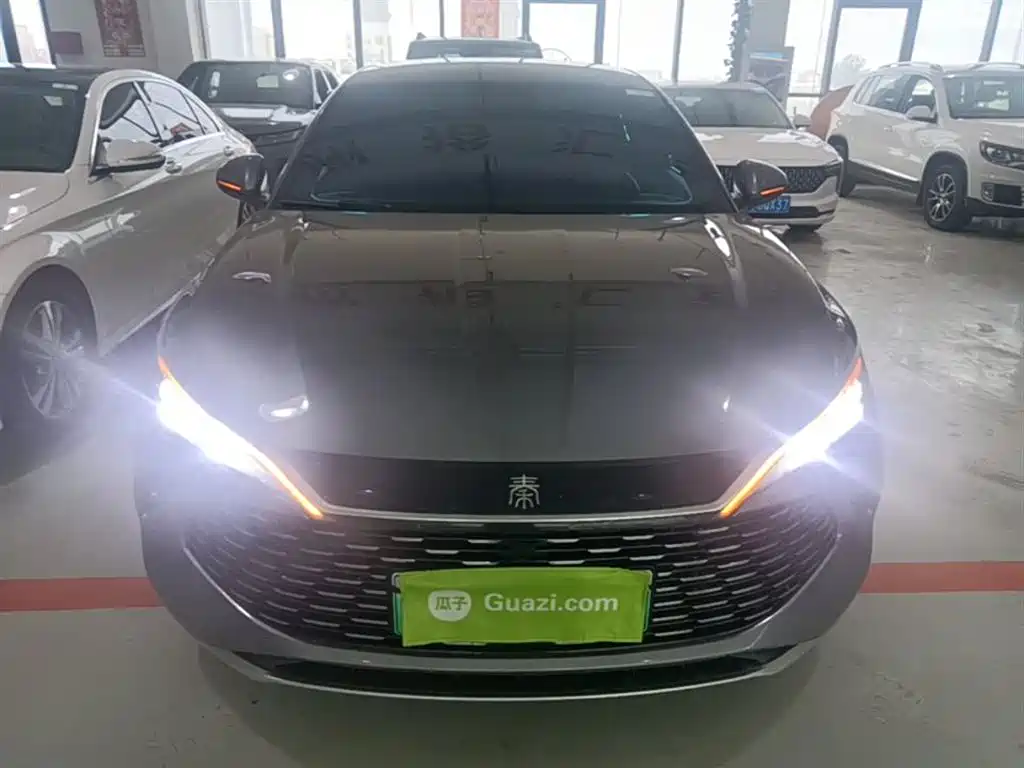 Qin L DM-i 80 KM Leading