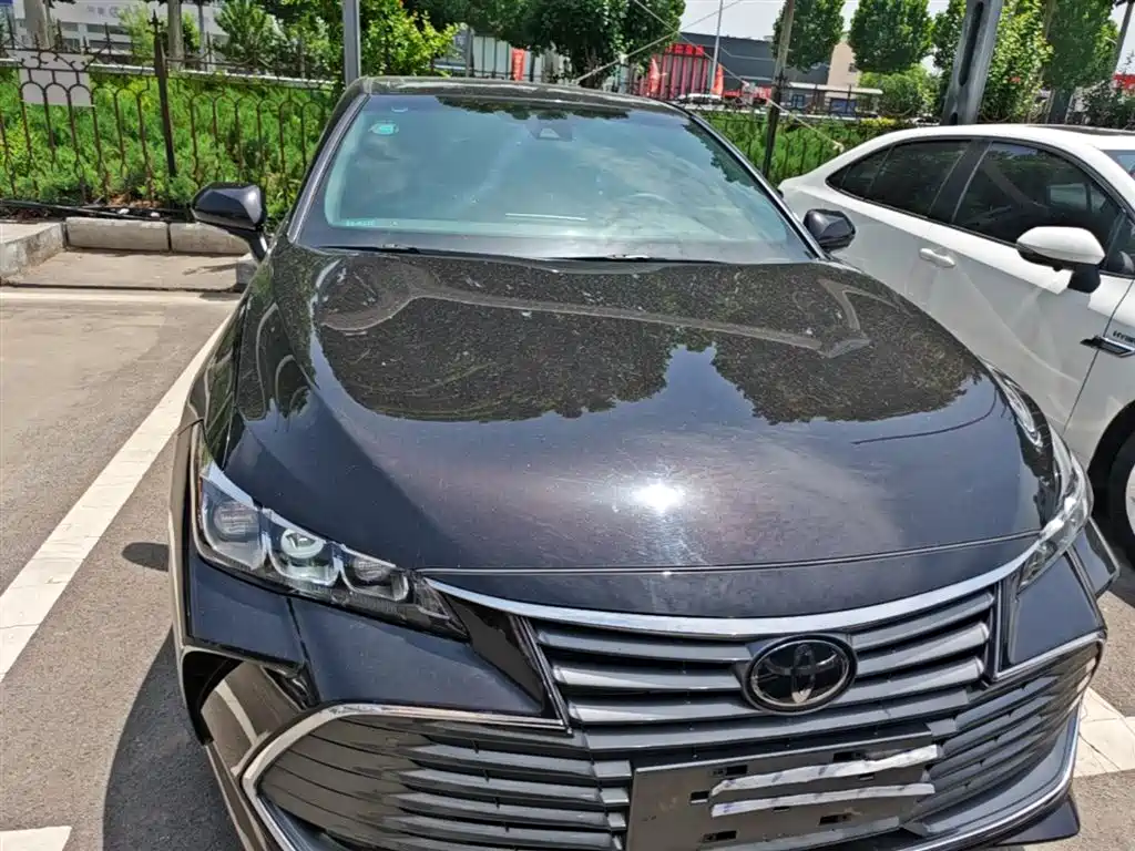 Avalon 2.0 L Progressive CN-VI