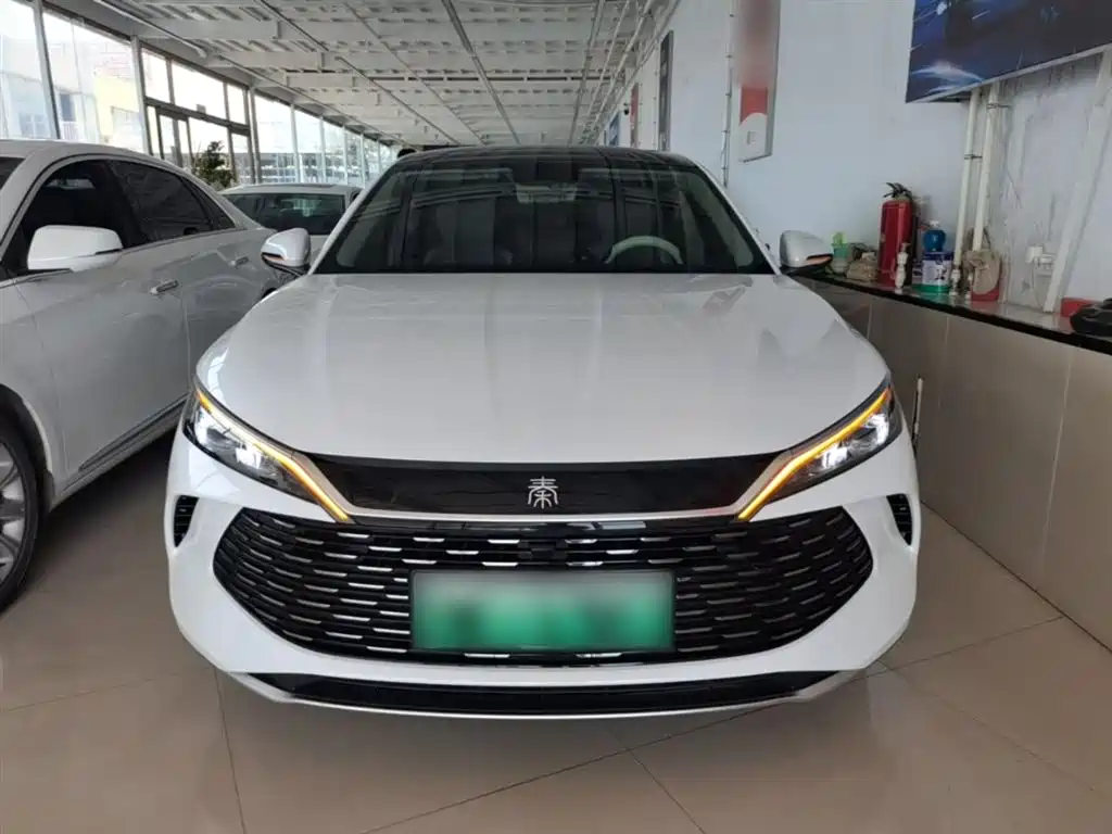 Qin L DM-i 80 KM Leading