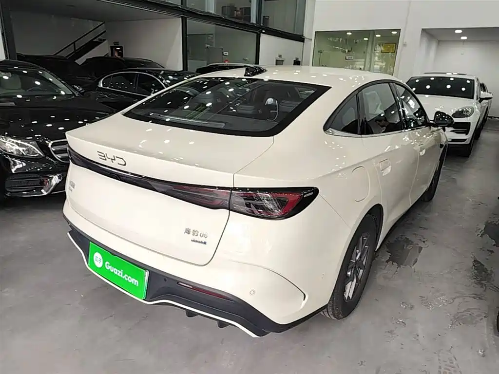 Seal 06 DM-i Smart Drive 80 KM Luxury