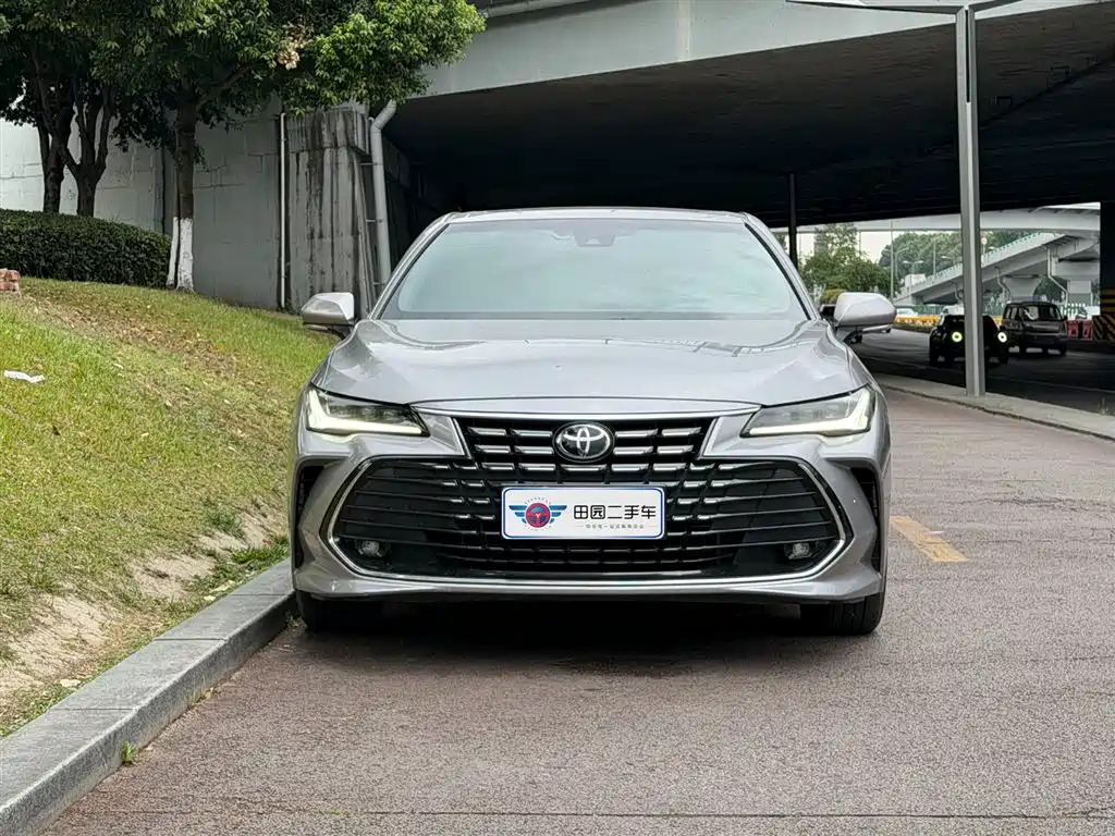 Avalon 2.0 L Luxury