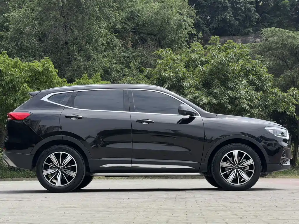 Haval H6 China Style 1.5 T Auto Champion