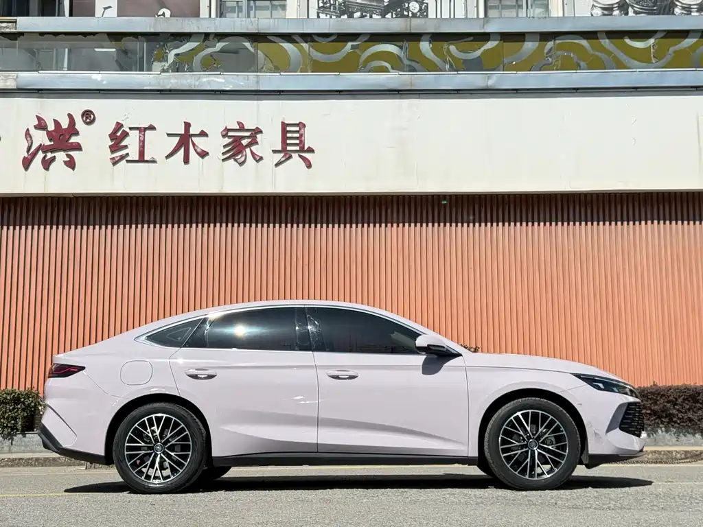 Qin L DM-i 120 KM Outstanding