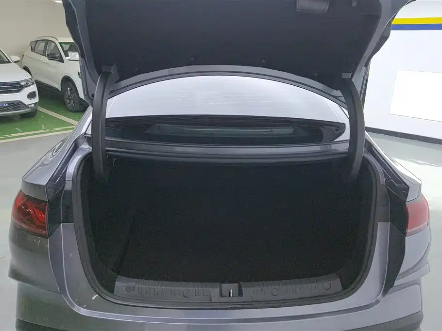 Qin L DM-i 120 KM Transcend