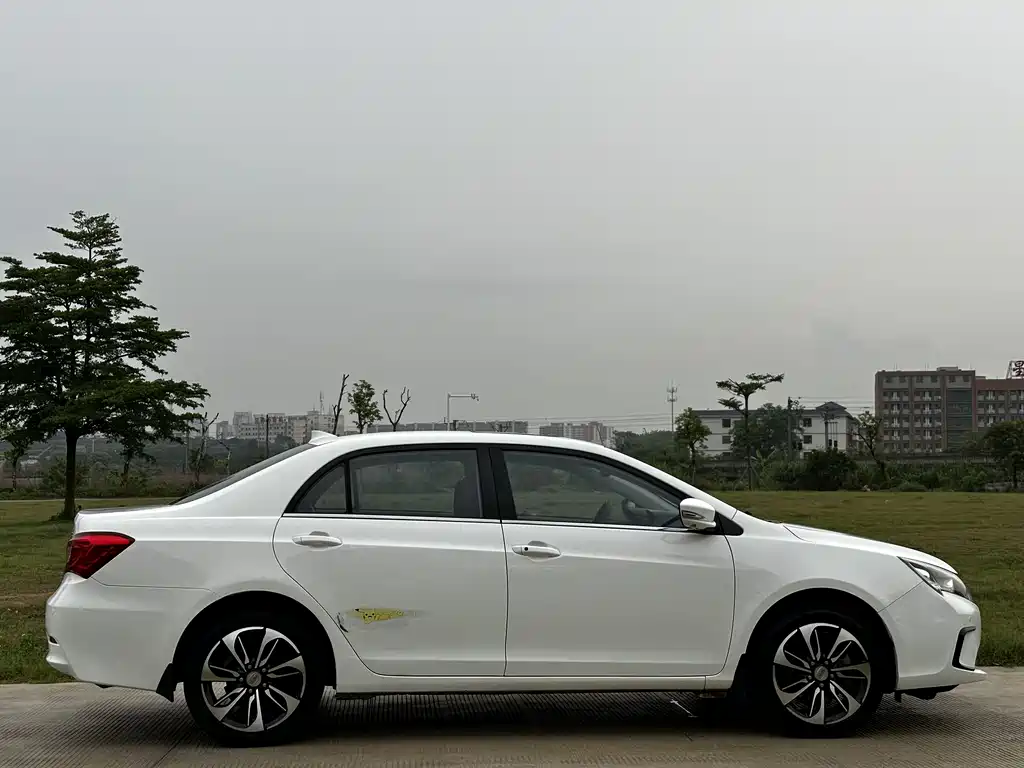 Qin NEV 1.5 T Dual Crown Flagship Plus