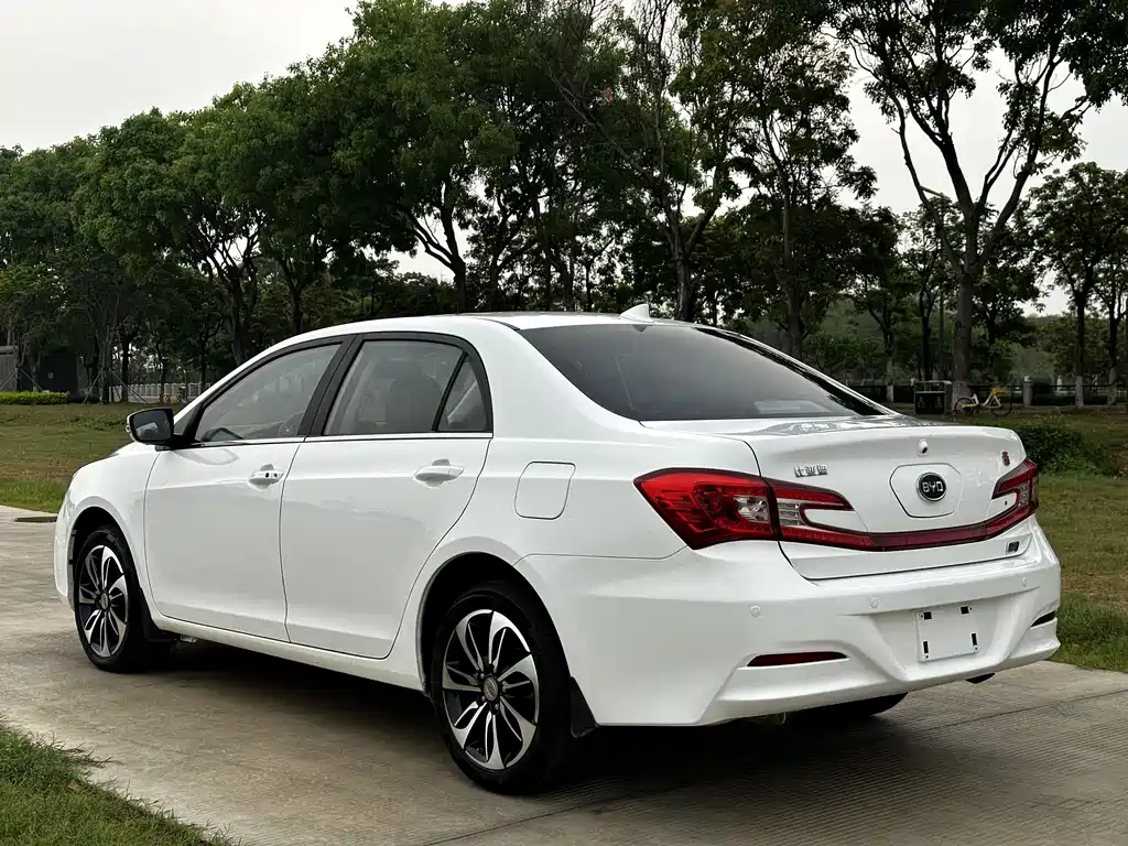 Qin NEV 1.5 T Dual Crown Flagship Plus