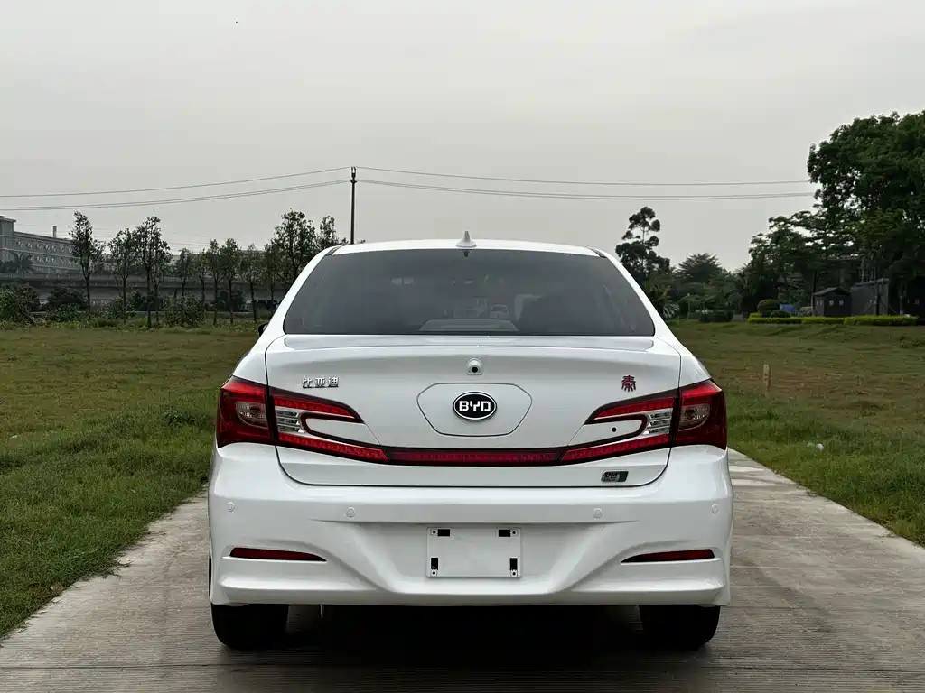 Qin NEV 1.5 T Dual Crown Flagship Plus