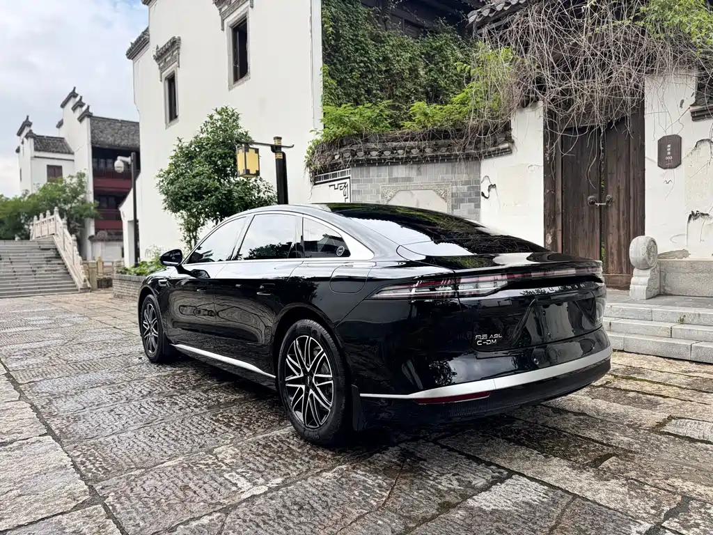Fengyun A9 L 260 Ultra Long Range Luxury