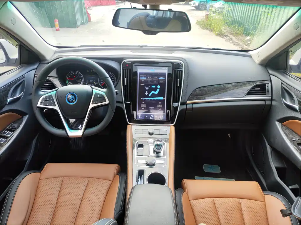 Qin NEV 1.5 T Distinguished