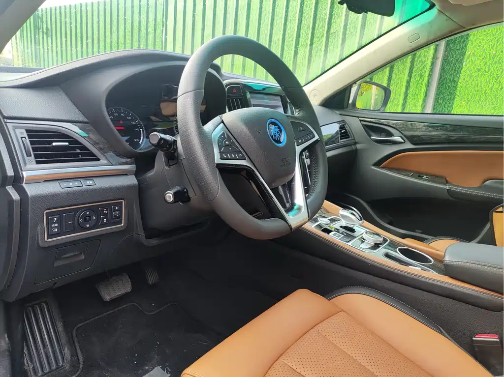 Qin NEV 1.5 T Distinguished