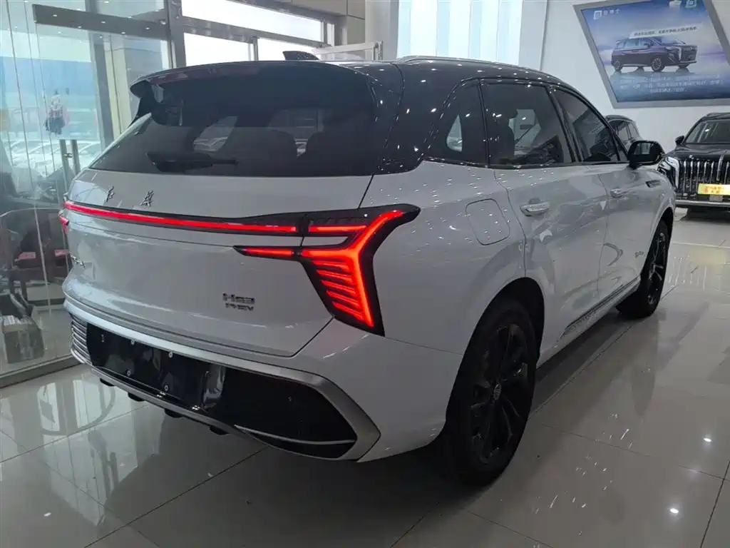Hongqi HS3 PHEV 117 km Power Action PLUS