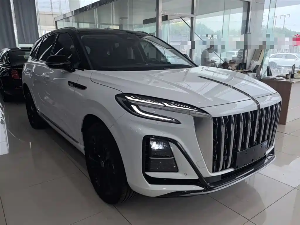 Hongqi HS3 PHEV 117 km Power Action PLUS