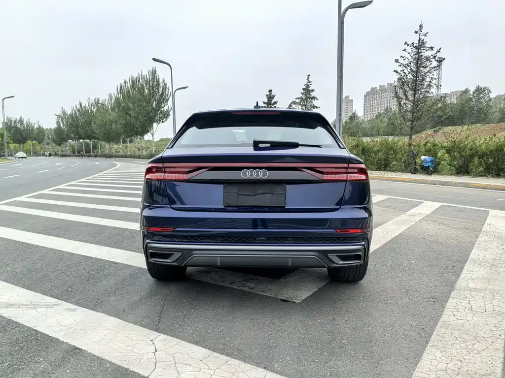 Audi Q8 55 TFSI Select Dynamic