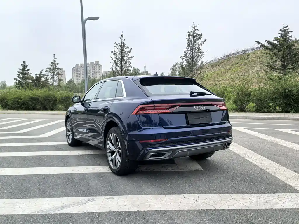 Audi Q8 55 TFSI Select Dynamic